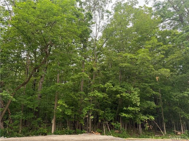 Land for sale in Aurora, New York