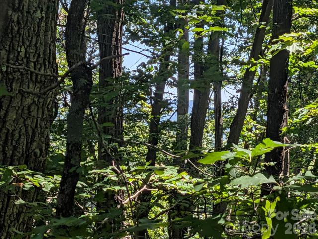 Land for sale in Hendersonville, North Carolina