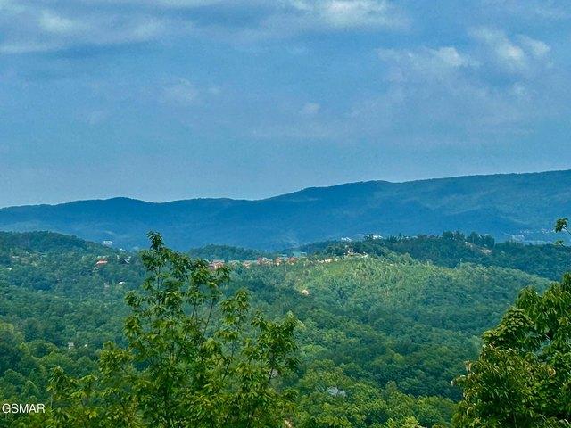 Land for sale in Tennessee