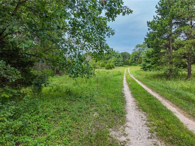 Land for sale in Osceola, Missouri