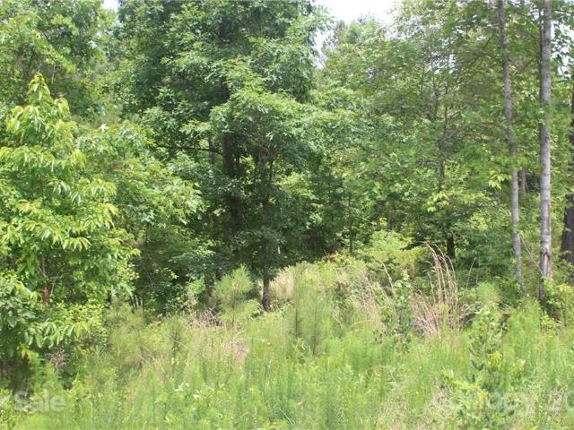 Land for sale in Connellys Springs, North Carolina