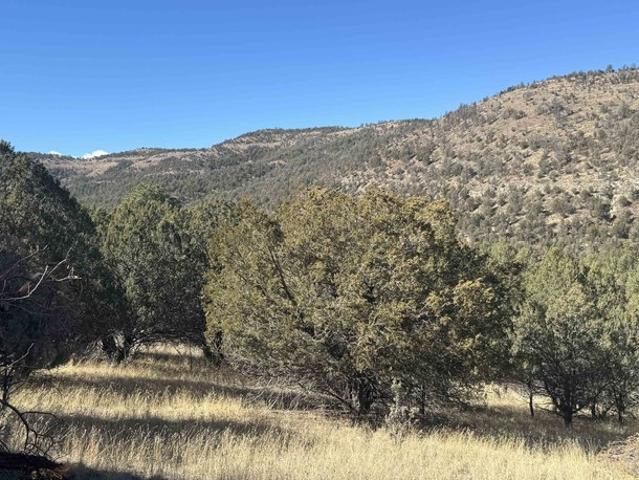 Land for sale in Mayhill, New Mexico