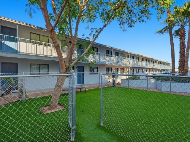 Apartment for rent in Tempe, Arizona