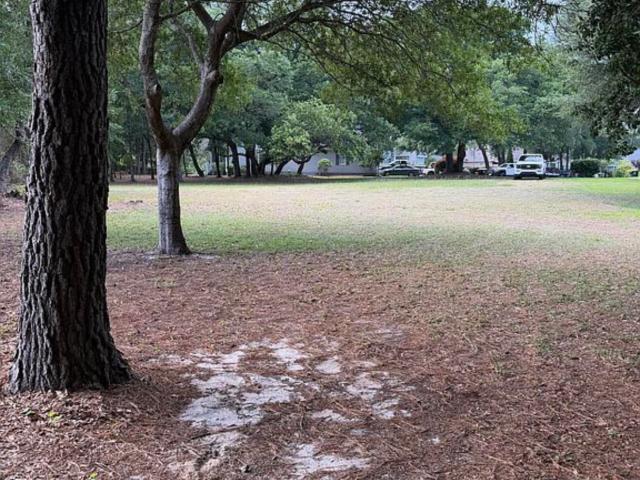 Land for sale in Ocean Isle Beach, North Carolina