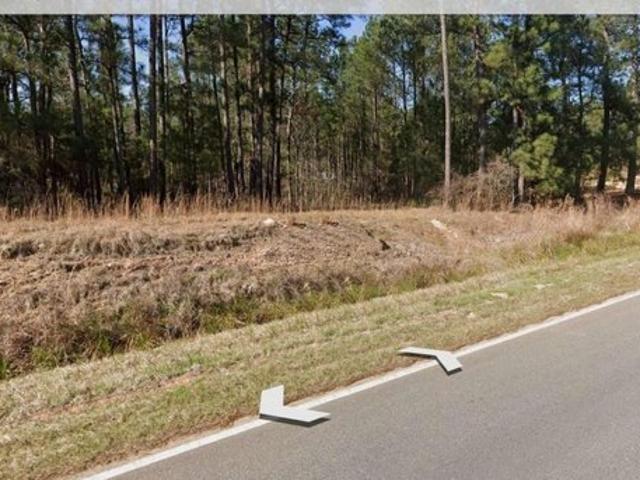 Land for sale in Roberta, Georgia