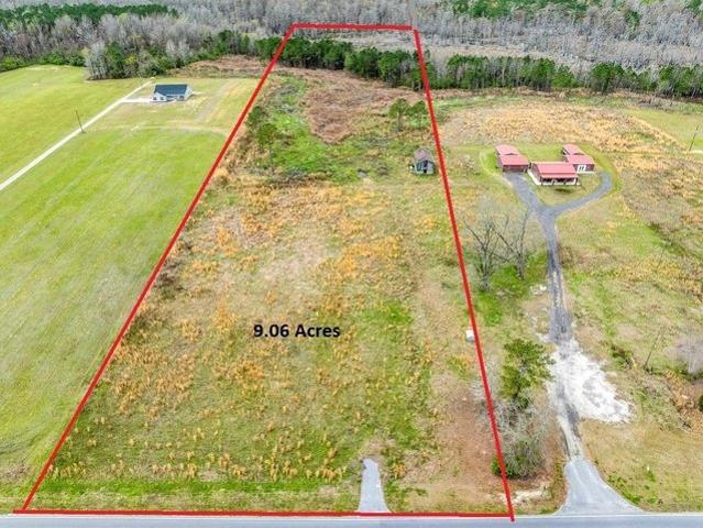Land for sale in Pamplico, South Carolina
