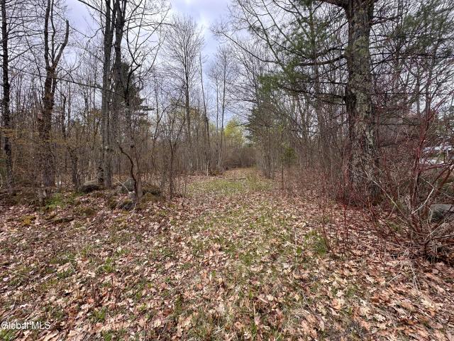 Land for sale in Essex, New York