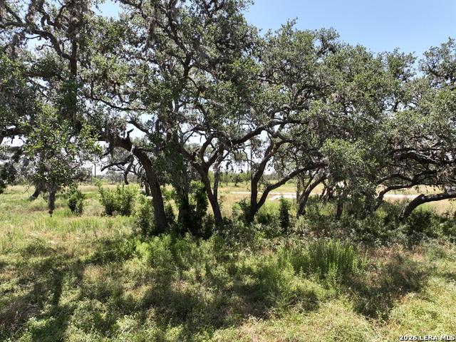 Land for sale in Medina, Texas