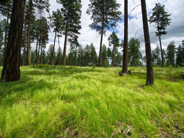 Land for sale in Whitefish, Montana