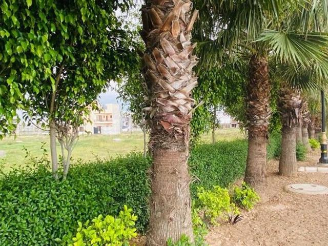 Land for sale in Zirakpur, Punjab