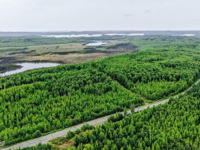 Land for sale in Holt, Missouri