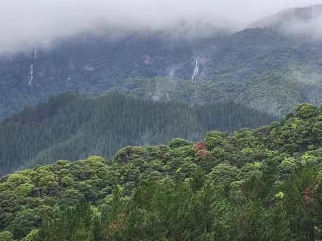 House for sale in Coromandel, Waikato