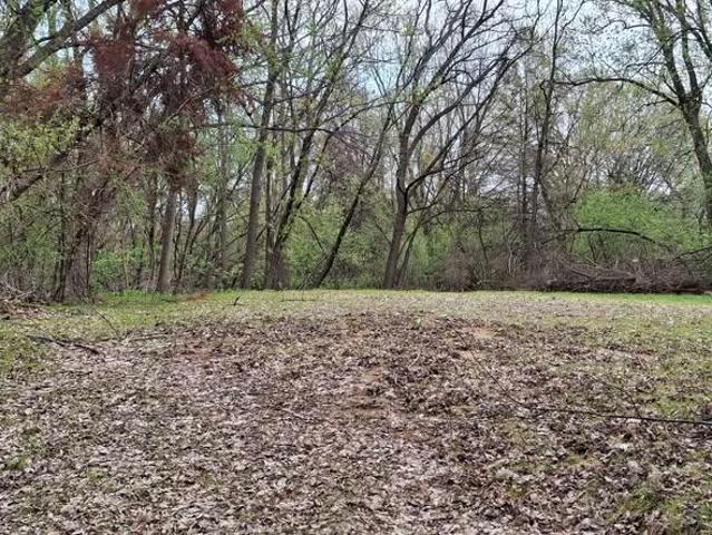 Land for sale in Ramsey, Minnesota