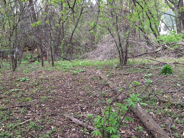 Land for sale in Ramsey, Minnesota