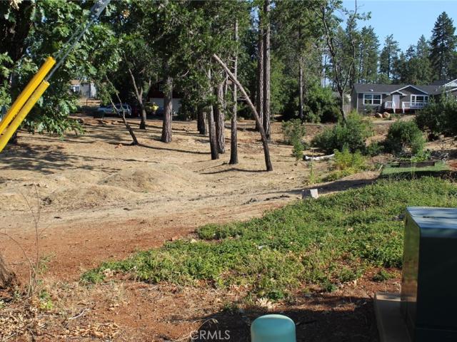 Land for sale in Butte, California