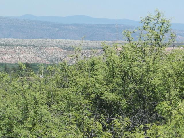 Land for sale in Clarkdale, Arizona