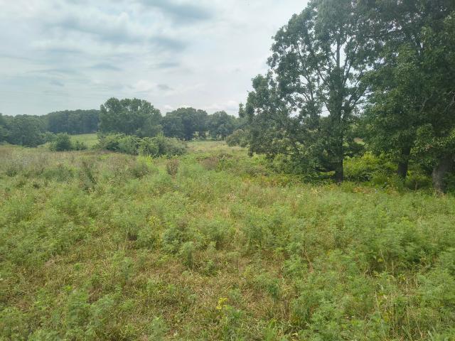Land for sale in Galena, Stone County
