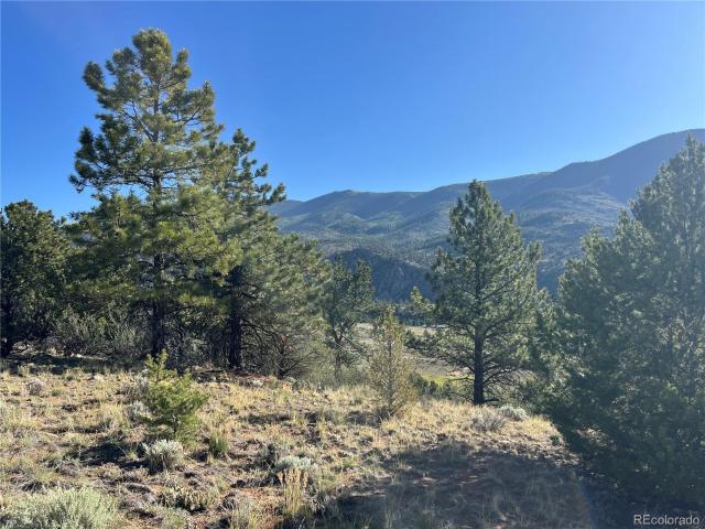 Land for sale in Buena Vista