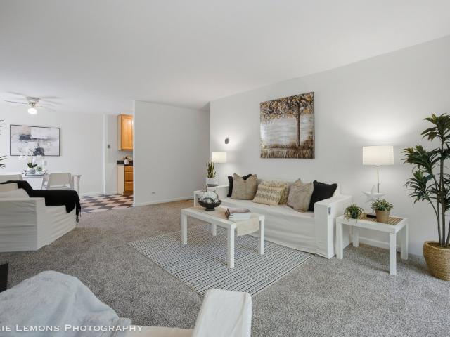 Condo for sale in Lisle, Illinois