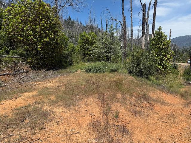 Land for sale in Lake, California