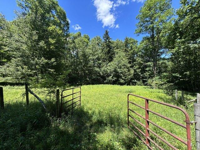 Land for sale in Buckeye, West Virginia