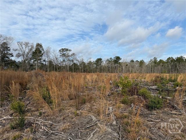 Land for sale in Guyton, Georgia