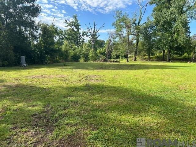 Land for sale in Prairieville, Louisiana