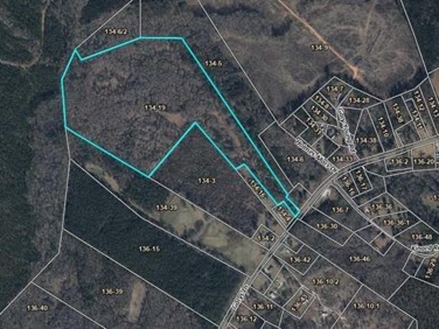 Land for sale in Kinards, South Carolina