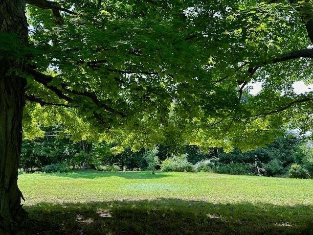 Land for sale in Hesperia, Michigan