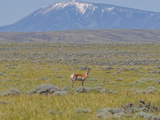 Farm for sale in Wyoming
