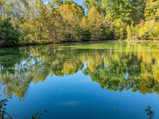 House for sale in Auburntown, Middle Tennessee