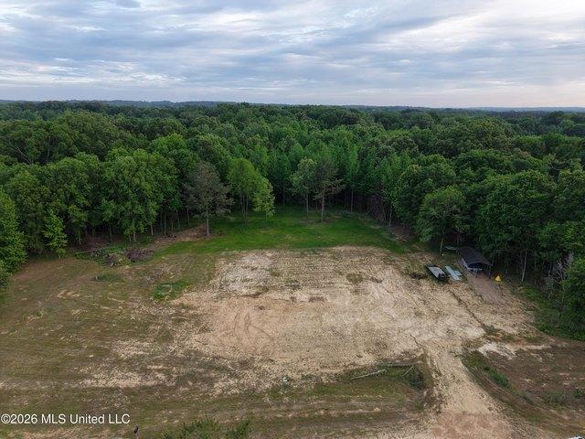 Land for sale in Flora, Mississippi