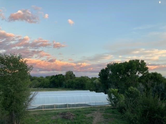 Land for sale in Alcalde, Rio Arriba County