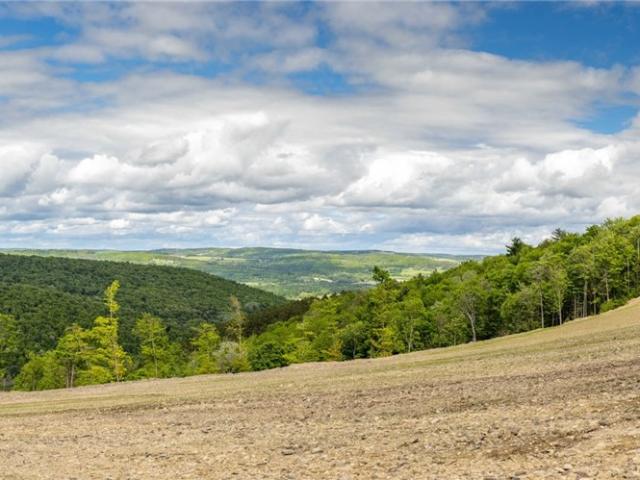 Land for sale in Breesport, New York