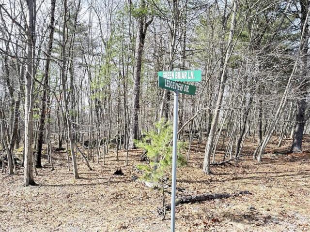 Land for sale in Beach Lake, Pennsylvania