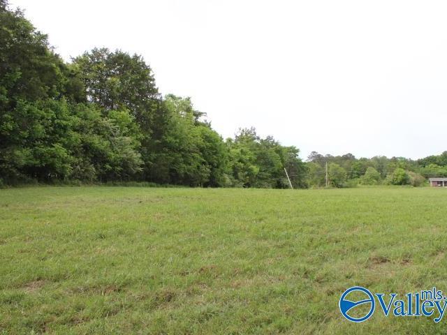 House for sale in Valley Head, Alabama
