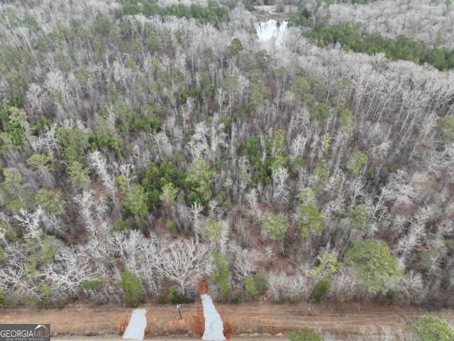 Land for sale in Flovilla, Georgia