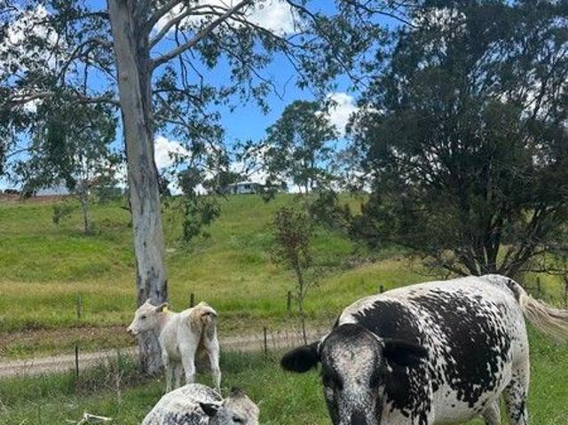 Cottage for sale in Glastonbury, Queensland