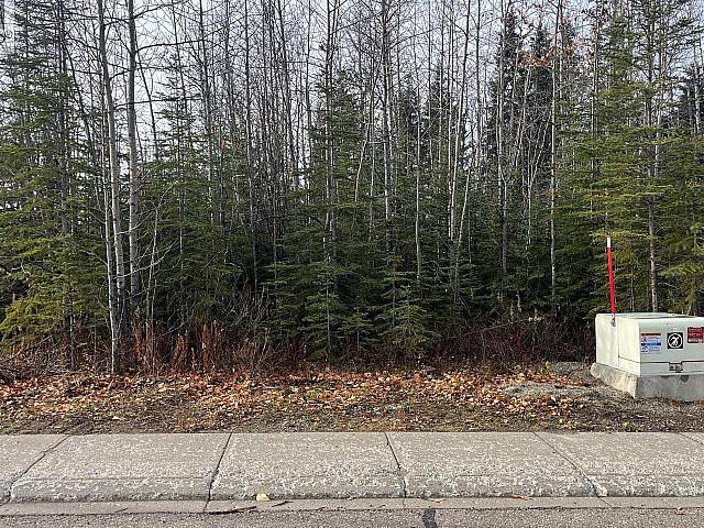 Land for sale in Finlay, British Columbia