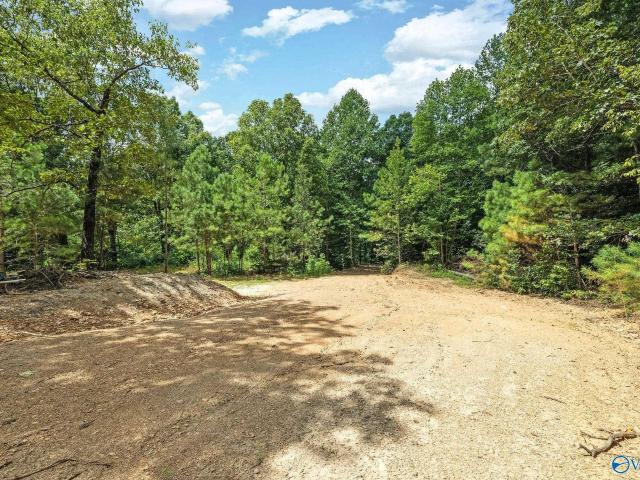 Land for sale in Pine Grove, Boaz