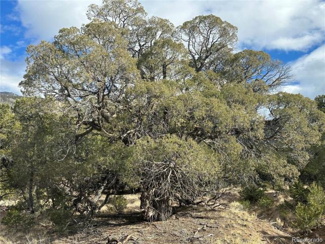 Land for sale in Crestone, Colorado