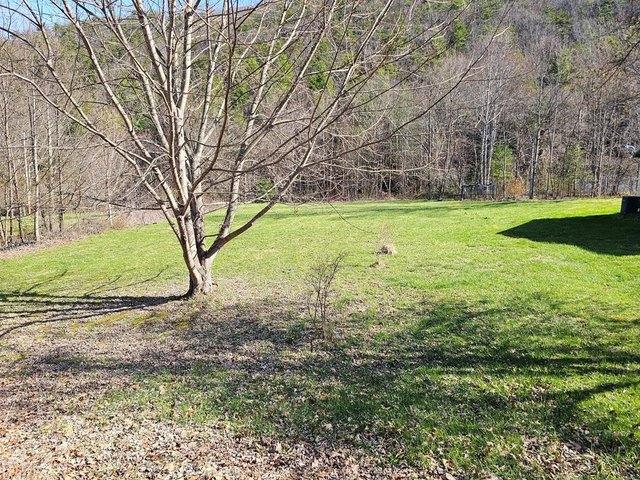 Land for sale in Virginia