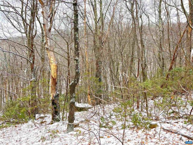 Land for sale in Wintergreen, Nelson County