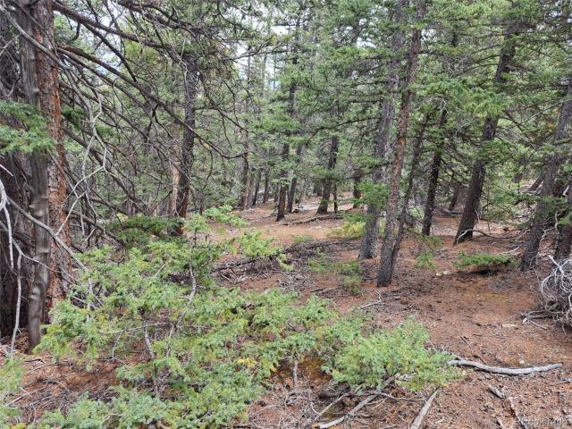 Land for sale in Fairplay, Colorado