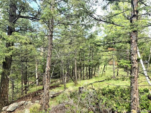 Land for sale in Bailey, Colorado