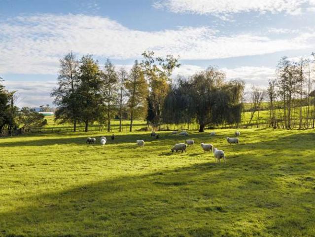 Property for sale in Ngahinapouri, Waikato