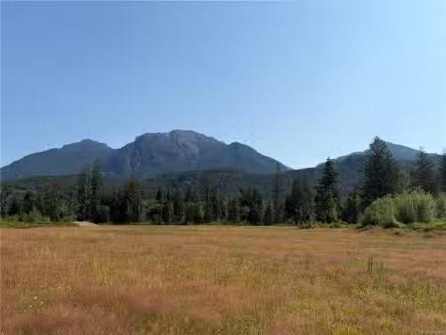 House for sale in Strathcona, British Columbia