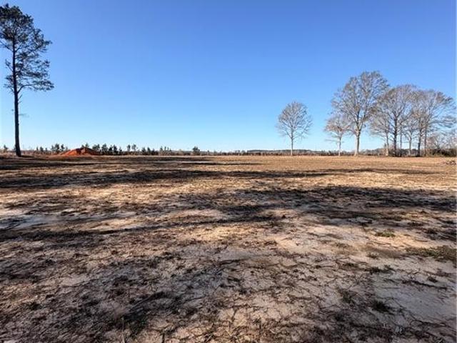 Land for sale in Franklinton, Washington Parish