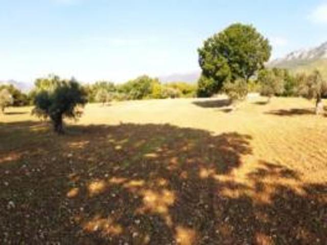 Terreno in vendita a Prata Sannita, Campania