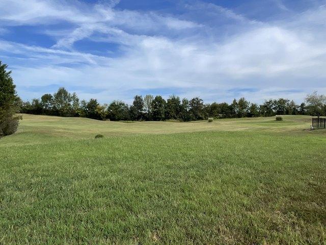 Land for sale in Cadiz, Trigg County